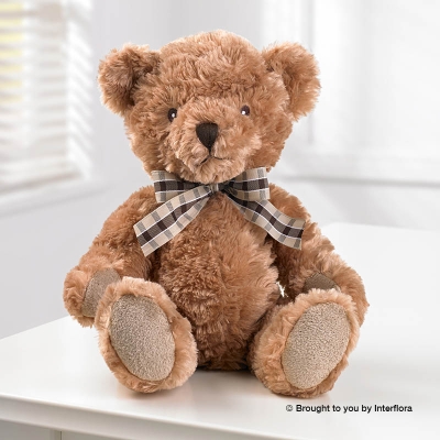 Soft Bear