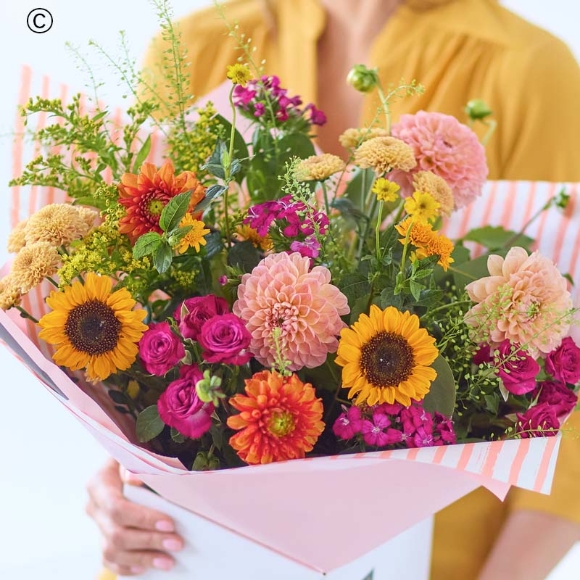 Delightful Dahlias Mix