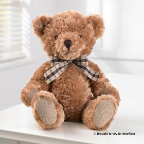 Soft Bear