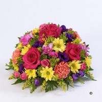 Classic Posy   Vibrant