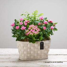 Pink Planted Basket