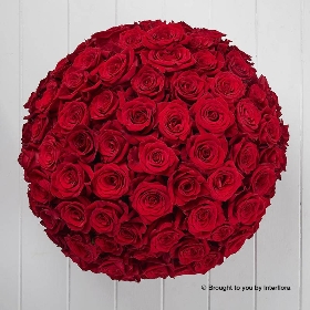 Unforgettable 100 Rose Hand tied.