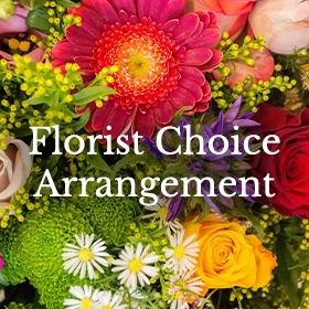 Florist Choice Arrangement