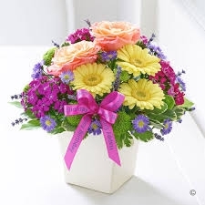 Bright Exquisite